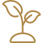 ROSEMARY EXTRACT